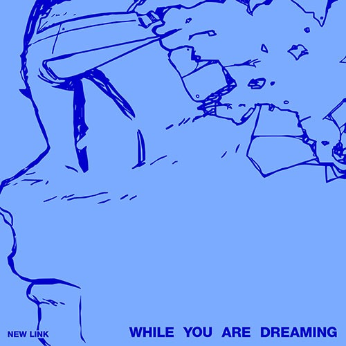 뉴 링크 (New Link) - While You Are Dreaming