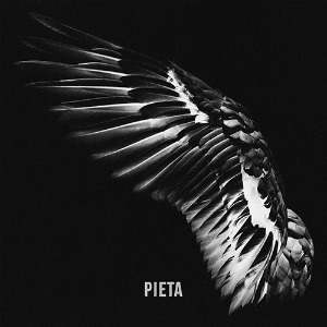 피에타 (PIETA) - 동정에 대하여