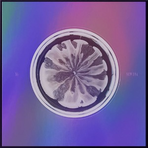 엑스지 (XG) - 1st mini ALBUM [NEW DNA] (X VER.)